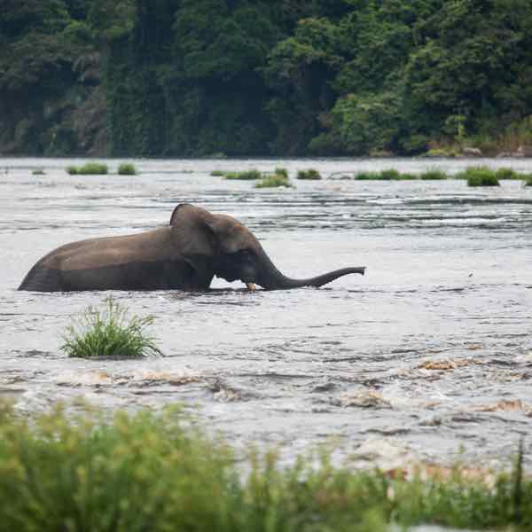 gabon travel