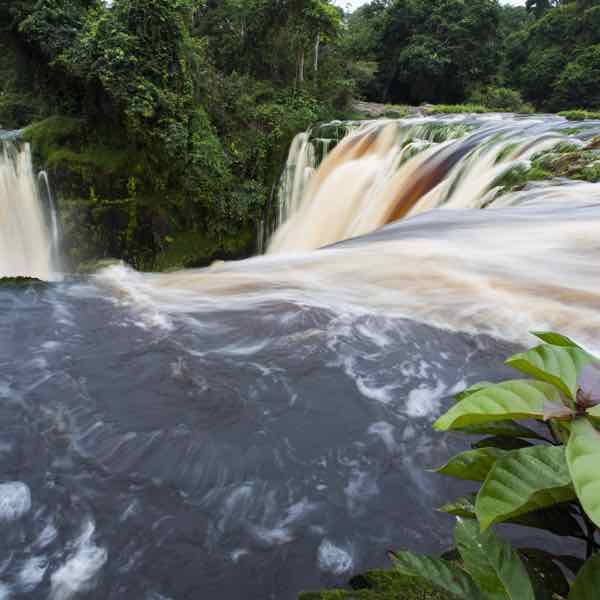 ivindo parc national