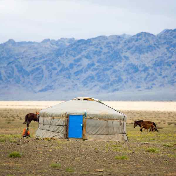 mongolia circuit