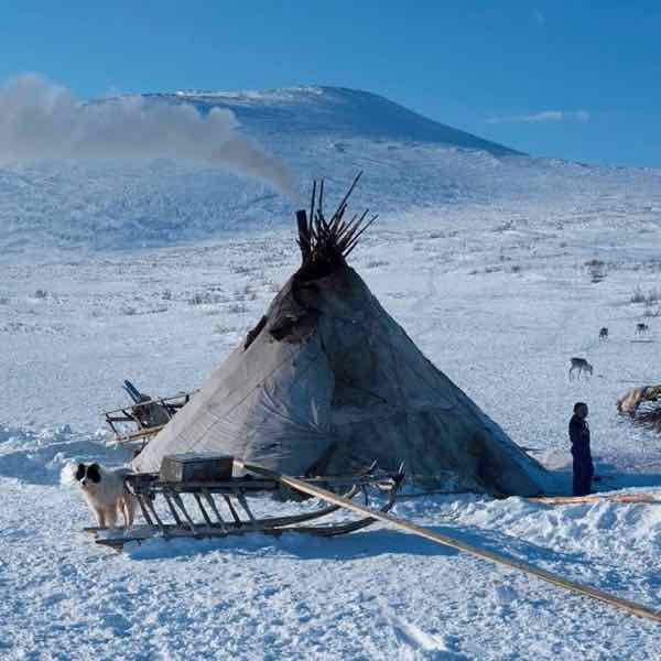 nenets-tchoum