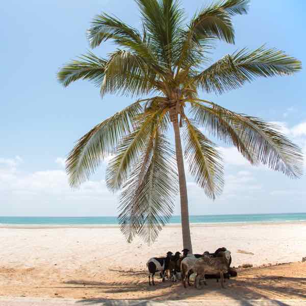 salalah